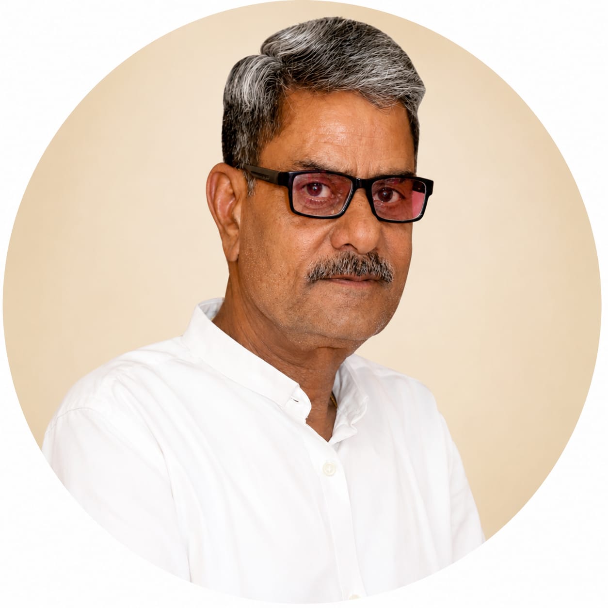 Rajguru Dinesh Pareek Ji